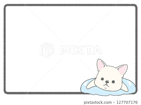 French bulldog floating in a float frame background (white) French bulldog floating in a float frame background (white) 127707176