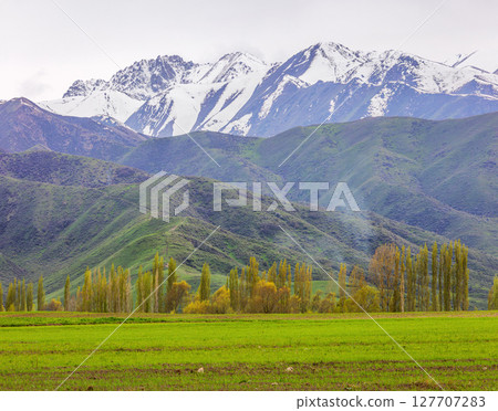 Tranquil landscape of mountains and trees in rural Kyrgyzstan setting Tranquil landscape of mountains and trees in rural Kyrgyzstan setting 127707283