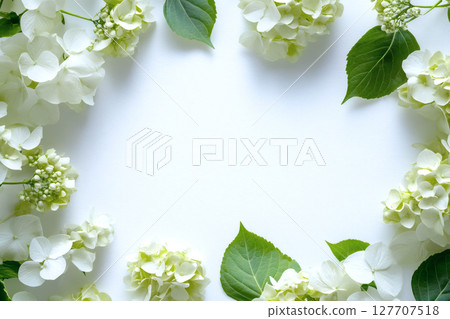 白花框架 127707518