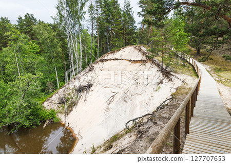 Wooden Boardwalk Along Latvia White Dune (Balta kapa) Sand Cliff Over River and Pines Wooden Boardwalk Along Latvia White Dune (Balta kapa) Sand Cliff Over River and Pines 127707653