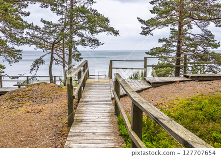 Wooden Coastal Boardwalk Through Pines Leading to Baltic Sea Cliff Overlook in Latvia 127707654