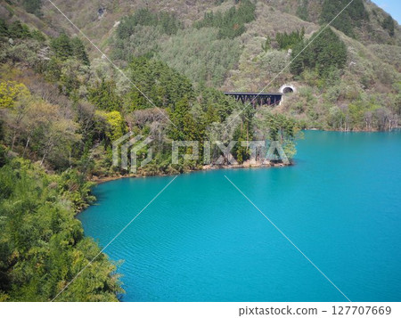 Fresh greenery at Lake Azuma 127707669