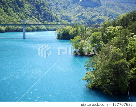 Fresh greenery at Lake Azuma Fresh greenery at Lake Azuma 127707682