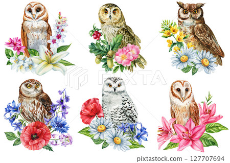 Watercolor owls with wildflowers floral animal clipart set for woodland nursery art prints greeting cards and seasonal decor Watercolor owls with wildflowers floral animal clipart set for woodland nursery art prints greeting cards and seasonal decor 127707694