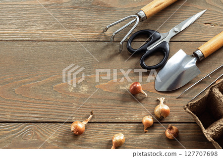 Garden hand tools set, plant bulbs and peat pot on a wooden background, top view, copy space. Garden hand tools set, plant bulbs and peat pot on a wooden background, top view, copy space. 127707698