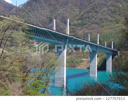 吾妻湖的新鮮綠意 吾妻湖的新鮮綠意 127707813