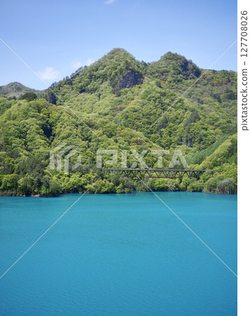 Fresh greenery at Lake Azuma Fresh greenery at Lake Azuma 127708026
