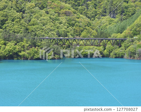 Fresh greenery at Lake Azuma Fresh greenery at Lake Azuma 127708027