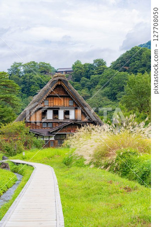 [World Heritage] Shirakawa-go in early autumn with ripe rice [Gifu Prefecture] 127708050