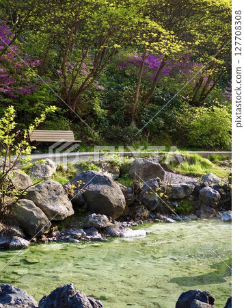 草津溫泉西之河原公園的新綠 草津溫泉西之河原公園的新綠 127708308
