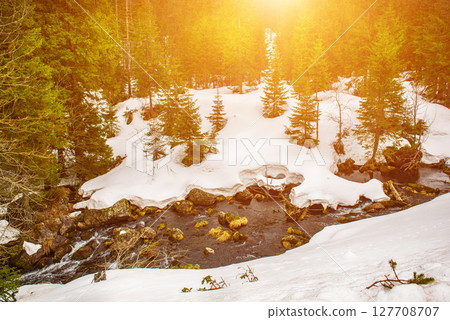 Mountain fir forest and the river near Morskie Oko Lake in Poland at Winter. Tatras mountains 127708707