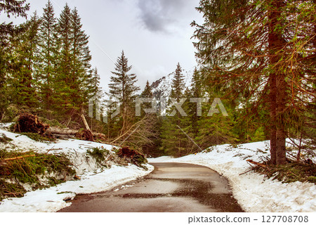 Mountain fir forest and the road near Morskie Oko Lake in Poland at Winter. Tatras mountains Mountain fir forest and the road near Morskie Oko Lake in Poland at Winter. Tatras mountains 127708708