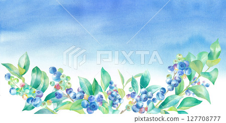 藍天背景下的藍莓田圖片。水彩插圖。橫幅背景。 藍天背景下的藍莓田圖片。水彩插圖。橫幅背景。 127708777