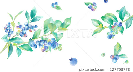 藍莓枝條左右生長的水彩畫。夏季水果橫幅背景。 127708778