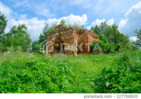 Ruins of Church of St. Peter and Paul in village of Vyshov, Mogilev region, Belarus 127708920