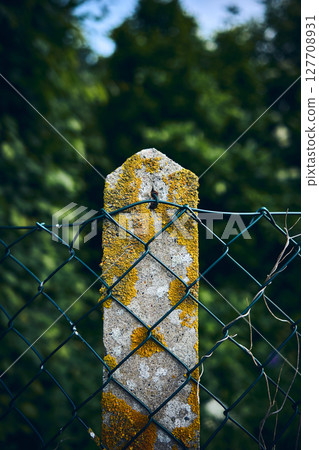 Mesh fence with concrete post Mesh fence with concrete post 127708931