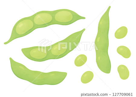 毛豆和豆莢，豆類變種水彩插圖PNG透明背景素材 127709061