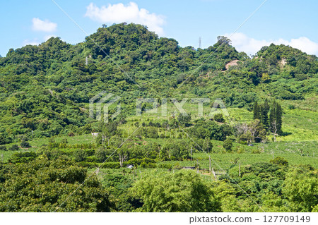 [Taiwan/Taitung County] Sugar apple fields and Dingyan Bay Sige Mountain 127709149