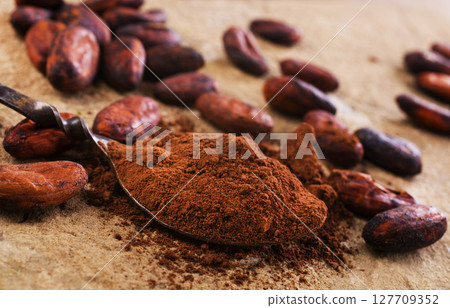 Chocolate beans that have been dried in the sun and are ready to be produced 127709352