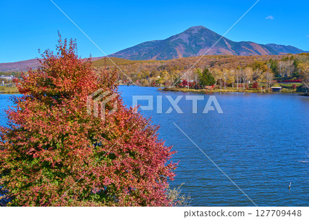 長野縣白樺湖（國道152號線）東側的秋景（蓼科山、池之平神社鳥居等） 127709448