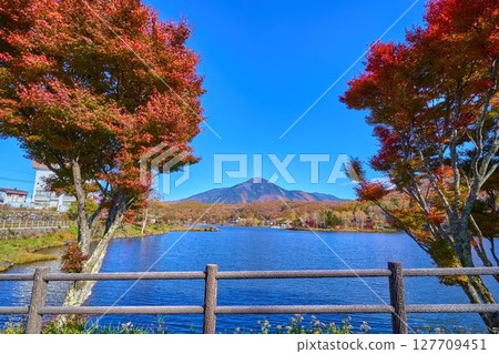 長野縣白樺湖（國道152號線）東側的秋景（蓼科山、池之平神社鳥居等） 127709451