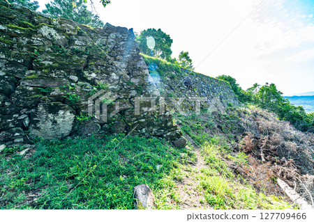 [Japan's Top 100 Castles] Ichinomiya Castle, north side stone wall 2 of the main enclosure, Tokushima City, Tokushima Prefecture 127709466