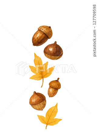 橡子和黃色落葉的水彩插圖(秋天、垂直排列、剪切素材) 橡子和黃色落葉的水彩插圖(秋天、垂直排列、剪切素材) 127709598