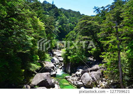 Yakushima Stream 127709621