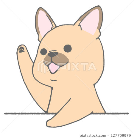 French bulldog (brown) raising hand French bulldog (brown) raising hand 127709979
