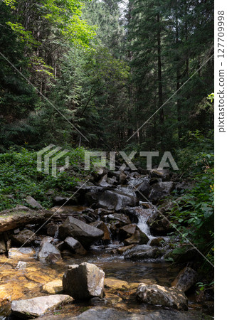 The stream carves a path throug the forest, cascading over stones and creating a peaceful atmosphere The stream carves a path throug the forest, cascading over stones and creating a peaceful atmosphere 127709998