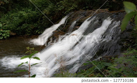 This tranquil waterfall flows gracefully over rocks, with vibrant green plants framing the scene. This tranquil waterfall flows gracefully over rocks, with vibrant green plants framing the scene. 127710186