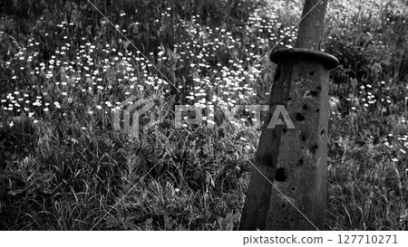 Damaged Lamppost with War Shrapnel in Flower Field, Ukraine 127710271