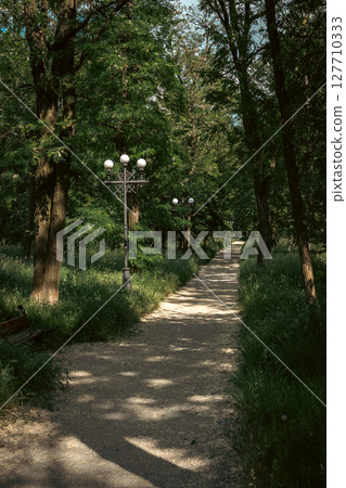 Gravel Path in Shaded Park with Vintage Street Lamps 127710333