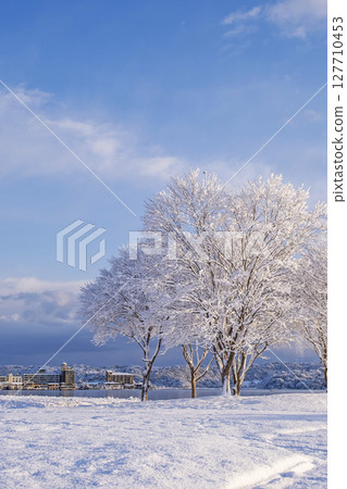 Snowy scenery along the lake: Around Lake Togo 127710453