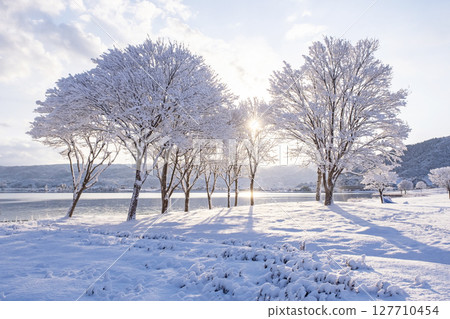 Snowy scenery along the lake: Around Lake Togo 127710454