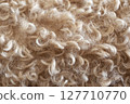 Beige curly wool texture. Soft natural material background in neutral tones 127710770