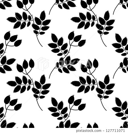 Hand Drawn Silhouette Rose hips on branch with leaves Seamless Pattern Botanical Minimalist Backdrop 127711071