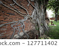 Tree roots entangled in bricks 127711402