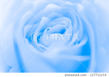 玫瑰/花瓣背景素材 玫瑰/花瓣背景素材 127712214