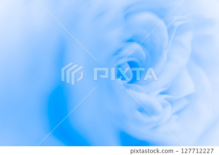 Rose/petal background material 127712227