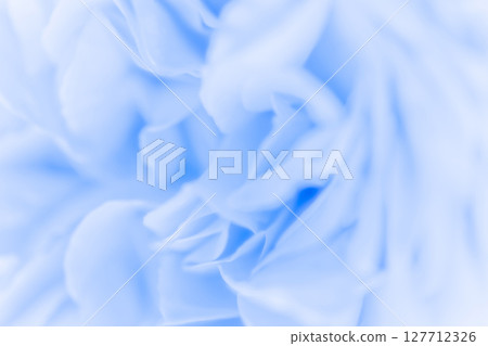 玫瑰/花瓣背景素材 127712326