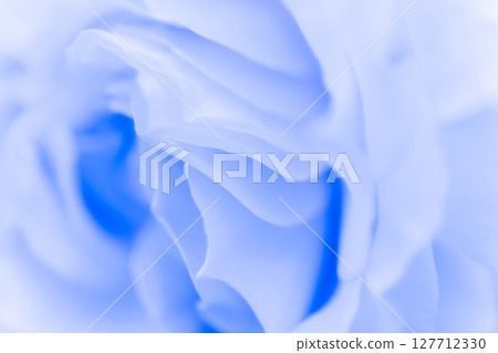 Rose/petal background material 127712330