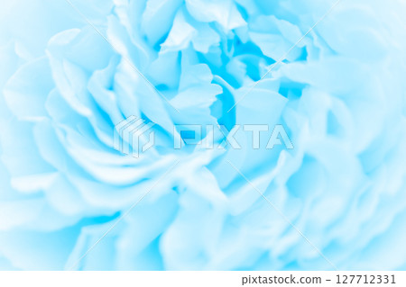 Rose/petal background material 127712331