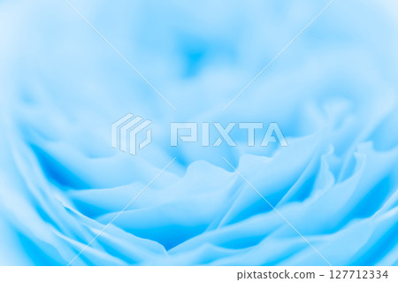 Rose/petal background material Rose/petal background material 127712334
