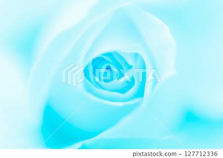 玫瑰/花瓣背景素材 玫瑰/花瓣背景素材 127712336
