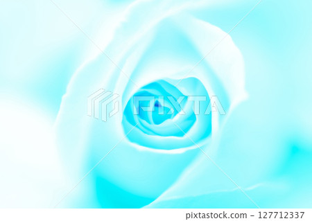 Rose/petal background material 127712337