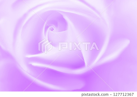 玫瑰/花瓣背景素材 127712367