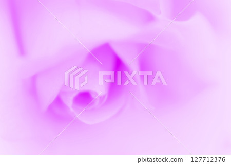 Rose/petal background material Rose/petal background material 127712376