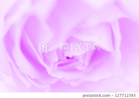 玫瑰/花瓣背景素材 127712393