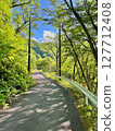 Forest path among fresh greenery 127712408